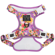 Adjustable dog harness with a floral pattern in pink, purple, and yellow colors, featuring white straps and a metal d-ring.