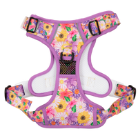 THE ALL-ROUNDER DOG HARNESS: Spring Fling