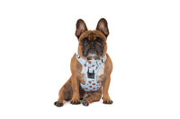 THE ALL-ROUNDER DOG HARNESS: Cuddle Club