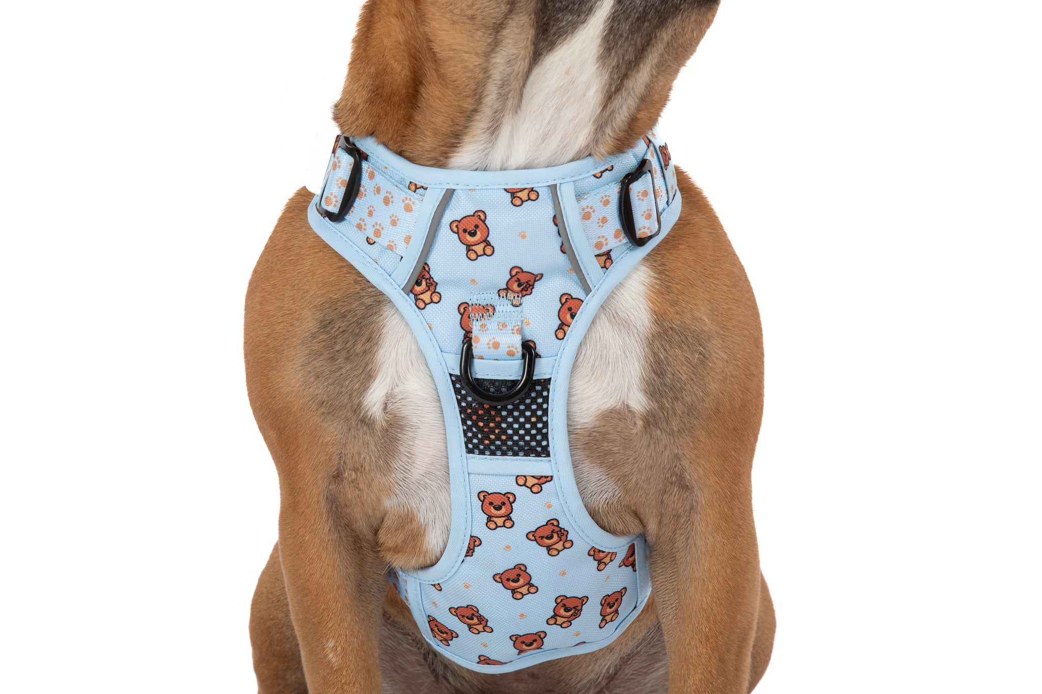 THE ALL-ROUNDER DOG HARNESS: Cuddle Club