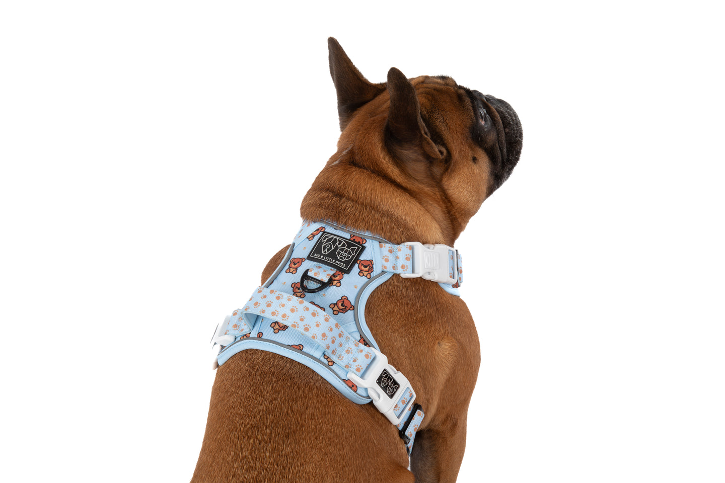 THE ALL-ROUNDER DOG HARNESS: Cuddle Club