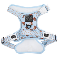 THE ALL-ROUNDER DOG HARNESS: Cuddle Club