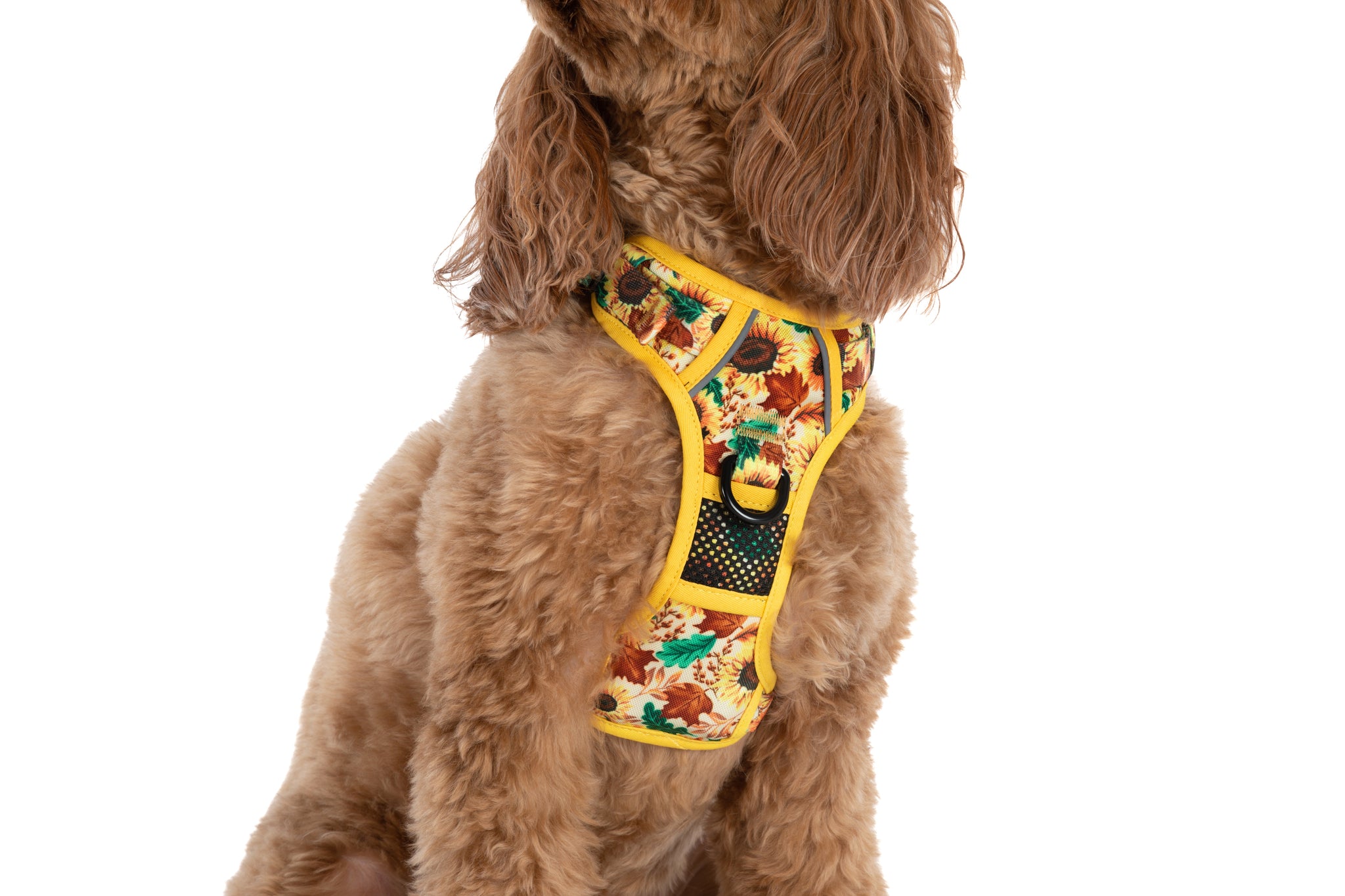 THE ALL-ROUNDER DOG HARNESS: Winter Blooms {FINAL SALE}