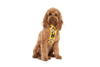 THE ALL-ROUNDER DOG HARNESS: Winter Blooms {FINAL SALE}