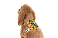 THE ALL-ROUNDER DOG HARNESS: Winter Blooms {FINAL SALE}