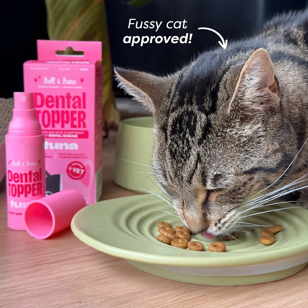 CAT MEAL TOPPER: Bell & Bone Cat Dental Topper - Tuna