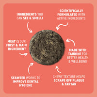 CAT TREATS | Bell & Bone Cat: Dental Bites - Salmon/Charcoal 80g