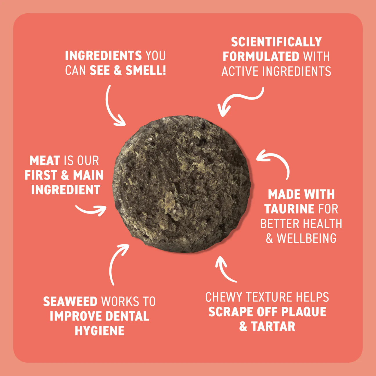 CAT TREATS | Bell & Bone Cat: Dental Bites - Salmon/Charcoal 80g