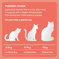 CAT TREATS | Bell & Bone Cat: Dental Bites - Salmon/Charcoal 80g