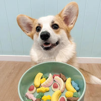 DOG TREATS | Doggy Topia - Pawty Mix Dog Lollies