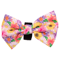 DOG COLLAR (+ BOW TIE option): Spring Fling