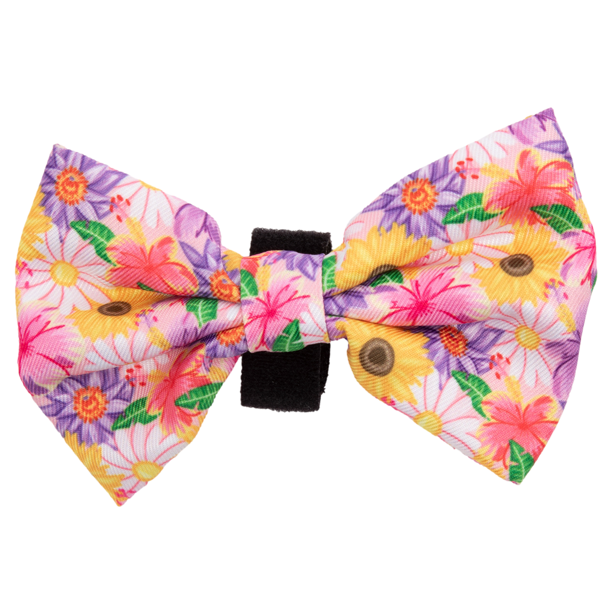 DOG COLLAR (+ BOW TIE option): Spring Fling