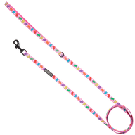 CAT LEASH: Beary Sweet