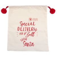 CHRISTMAS: Special Delivery Santa Sack (with your Dog's Name!)