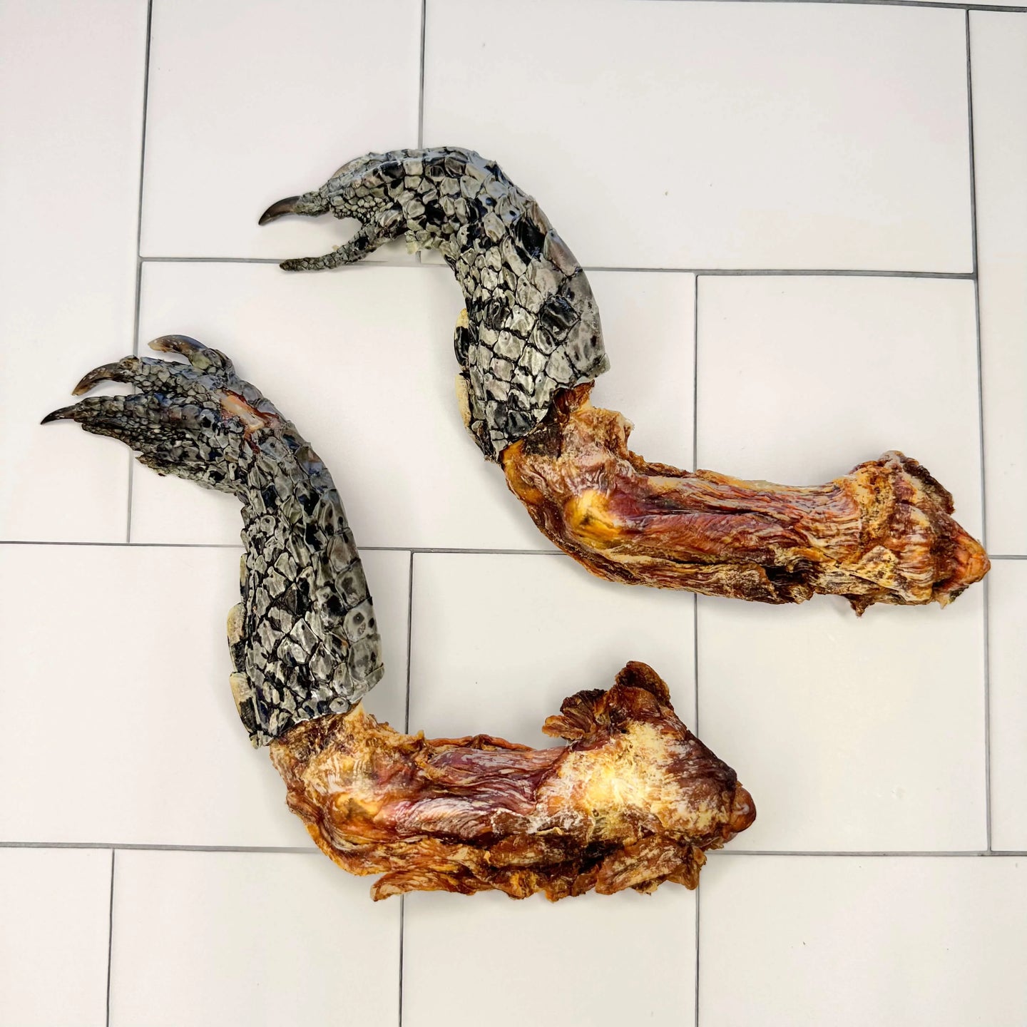 DOG TREATS | Rover Pet Products: Croc's Loose - Croc Foot & Leg