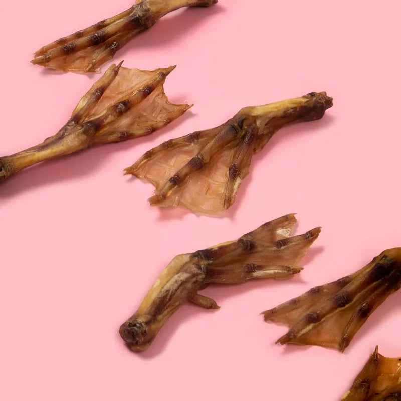 DOG TREATS | Biggies Raw Pantry: 8 Duck Feet