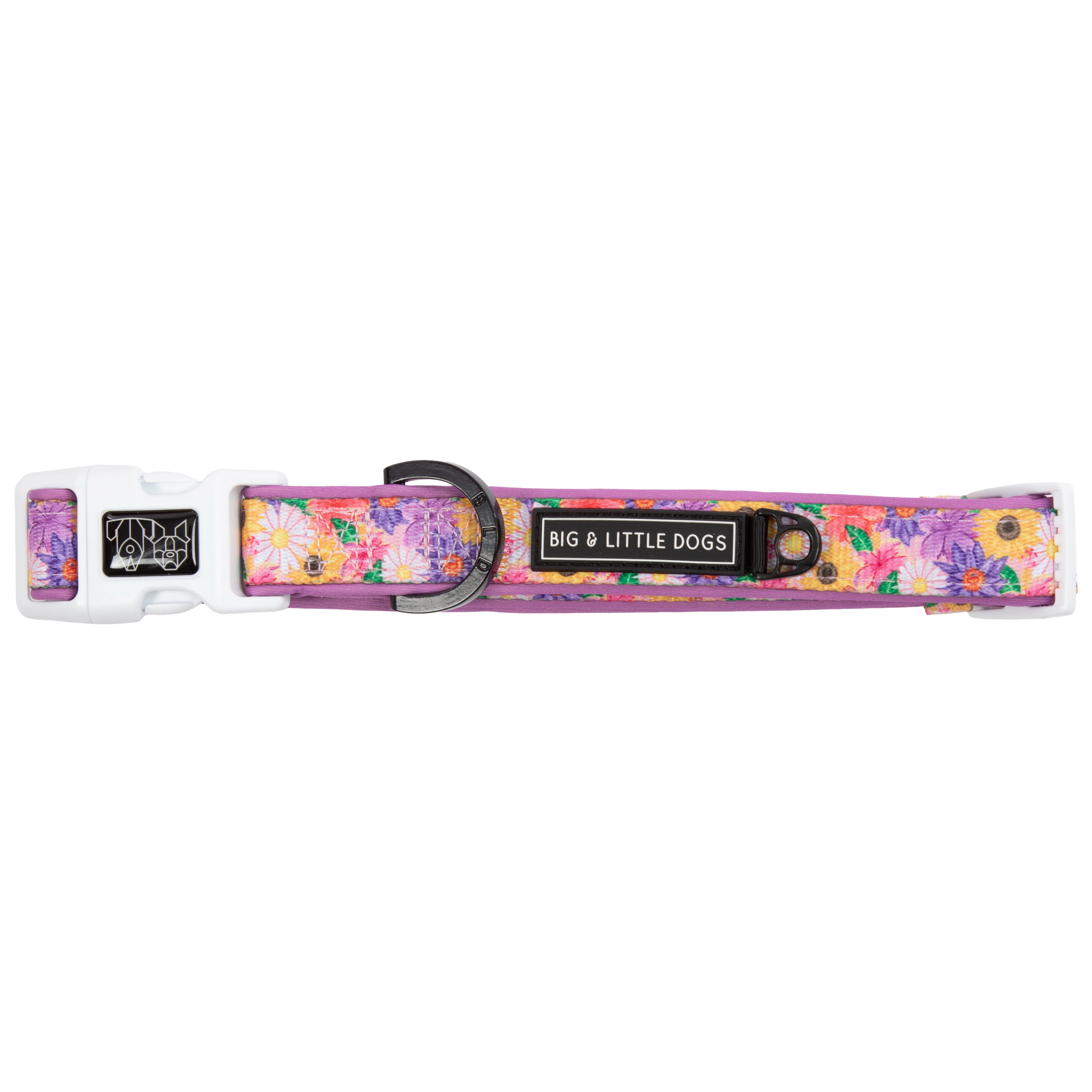 DOG COLLAR (+ BOW TIE option): Spring Fling