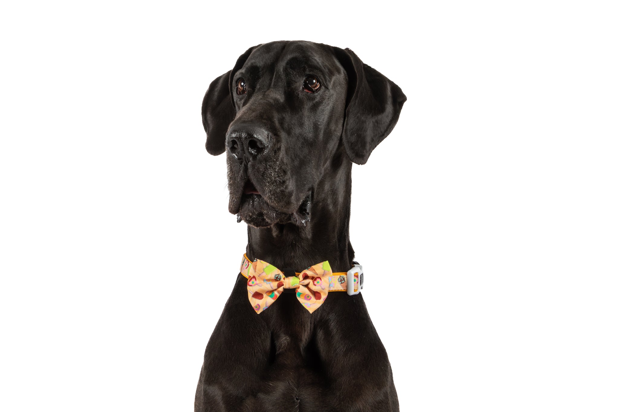 DOG COLLAR & BOW TIE: Aussie Faves {FINAL SALE}