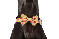 DOG COLLAR & BOW TIE: Aussie Faves {FINAL SALE}