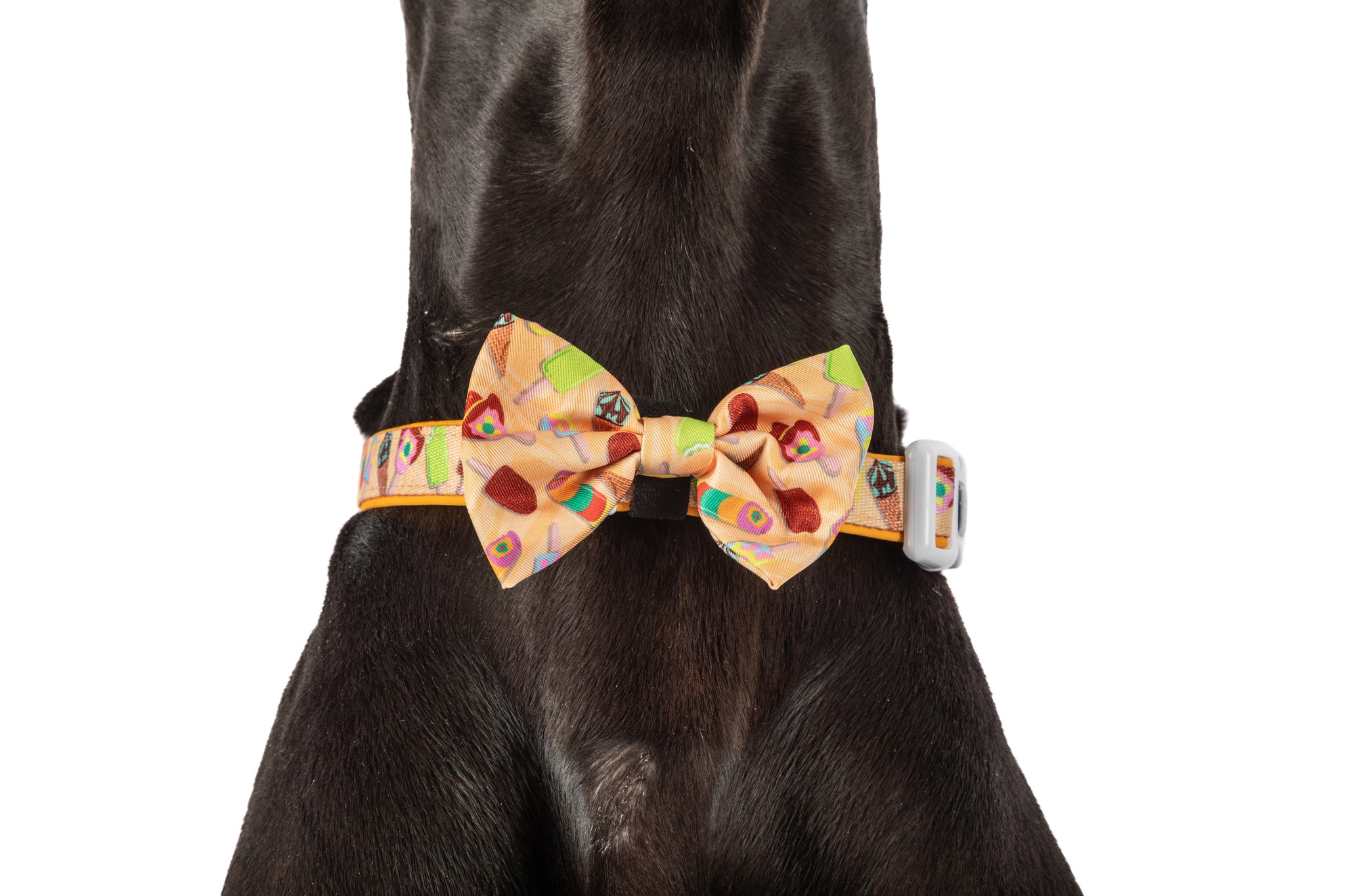 DOG COLLAR & BOW TIE: Aussie Faves {FINAL SALE}