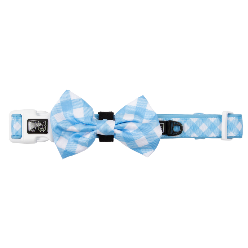 DOG COLLAR & BOW TIE: Blueberry Gingham