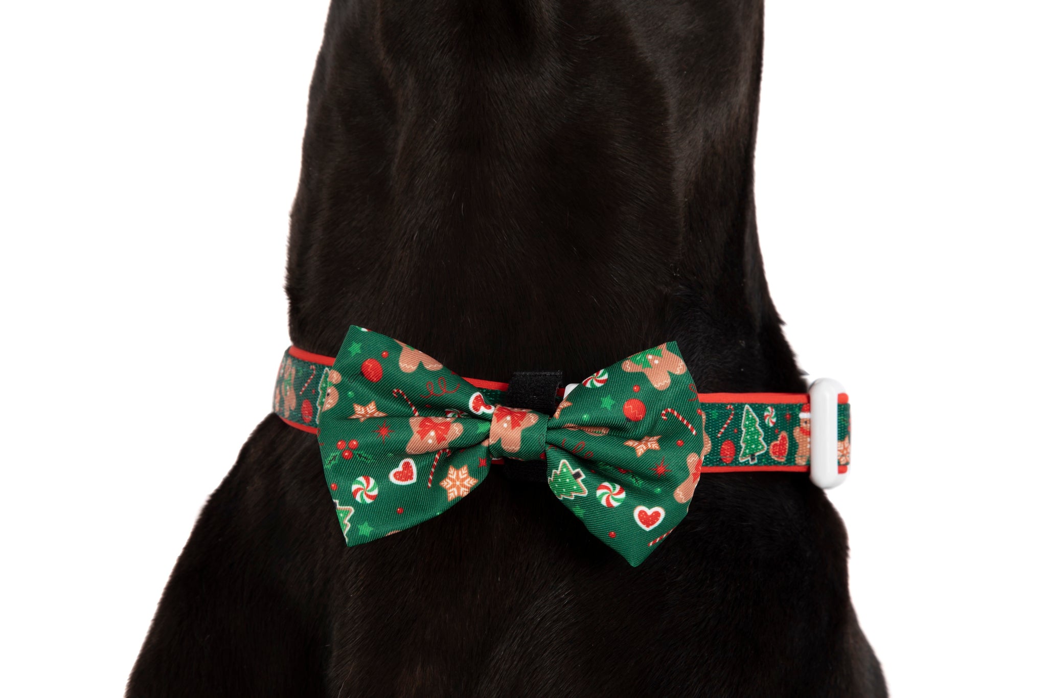 DOG COLLAR (+ BOW TIE option): Gingerbread Cutie
