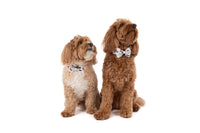 DOG COLLAR (+ BOW TIE option): Oodles of Love
