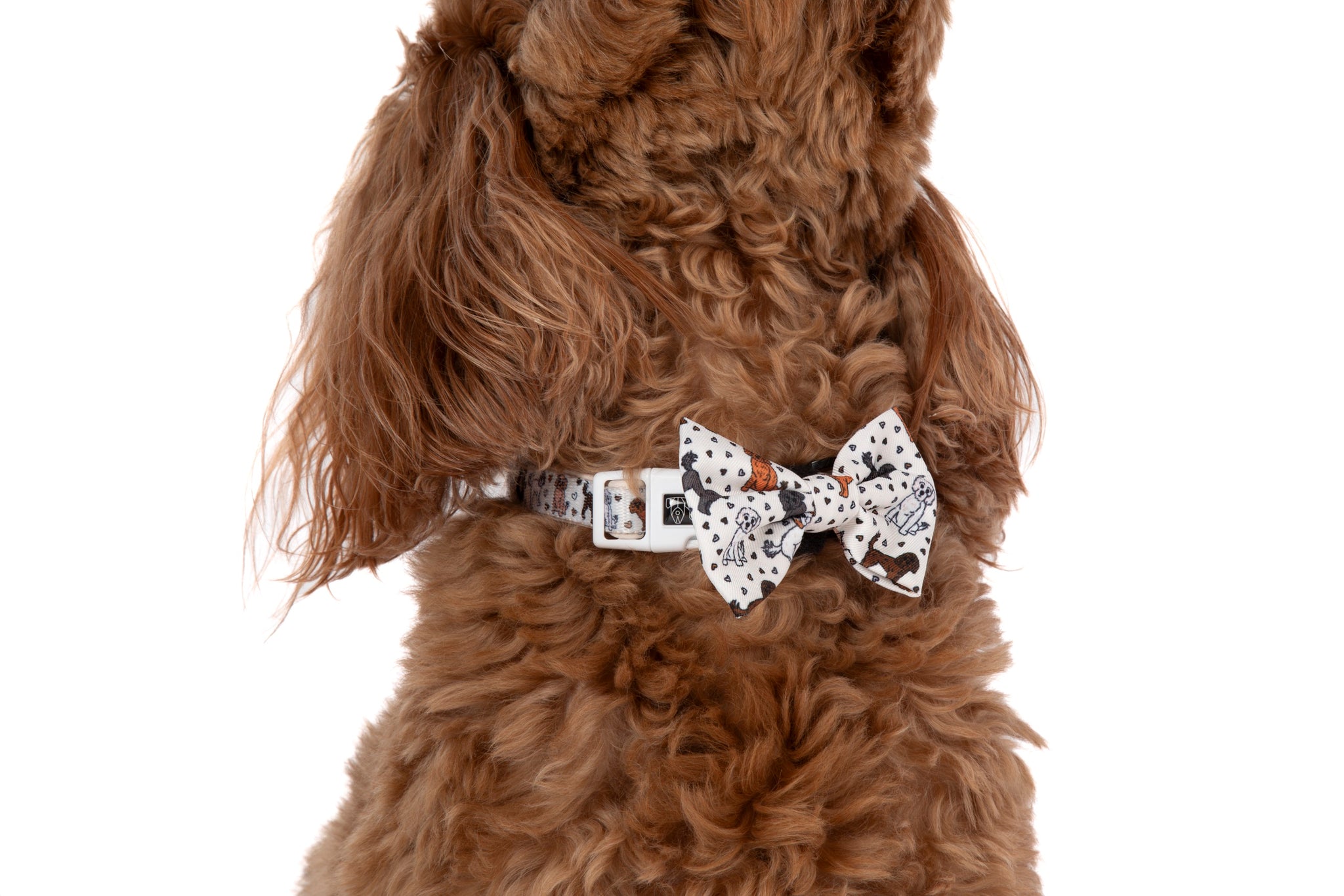 DOG COLLAR (+ BOW TIE option): Oodles of Love