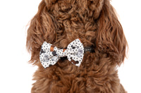 DOG COLLAR (+ BOW TIE option): Oodles of Love
