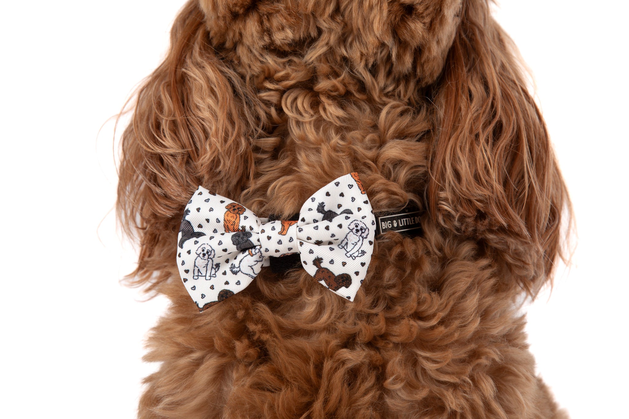 DOG COLLAR (+ BOW TIE option): Oodles of Love
