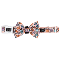 DOG COLLAR & BOW TIE: Pupkin Spice {FINAL SALE}