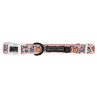 DOG COLLAR & BOW TIE: Pupkin Spice {FINAL SALE}