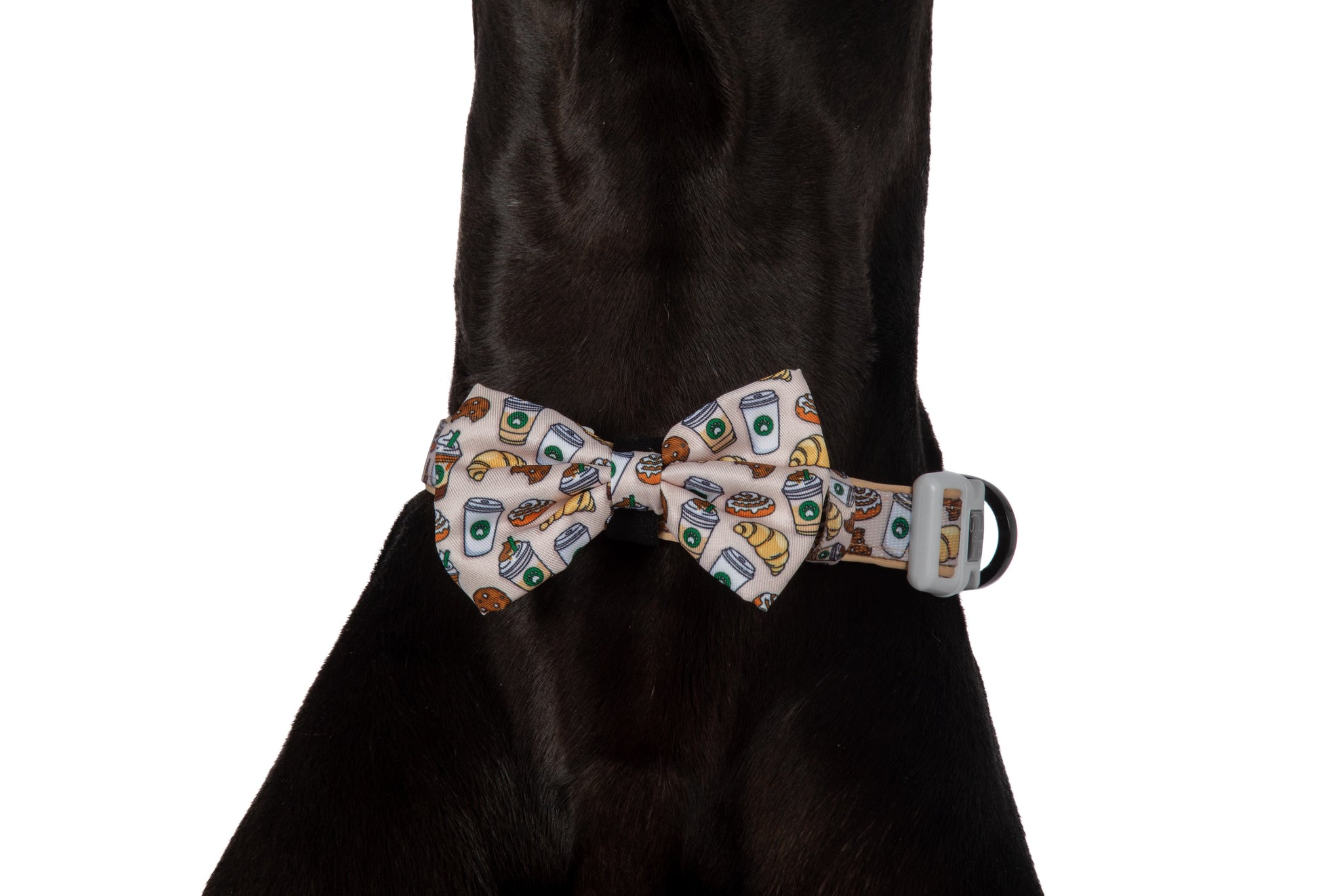 DOG COLLAR & BOW TIE: Pupper Cup {FINAL SALE}