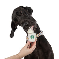 DOG COLLAR & BOW TIE: Pupper Cup {FINAL SALE}