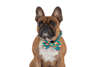 DOG COLLAR & BOW TIE: Sausage Sizzle {FINAL SALE}