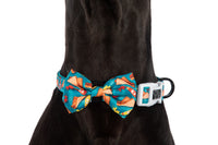 DOG COLLAR & BOW TIE: Sausage Sizzle {FINAL SALE}