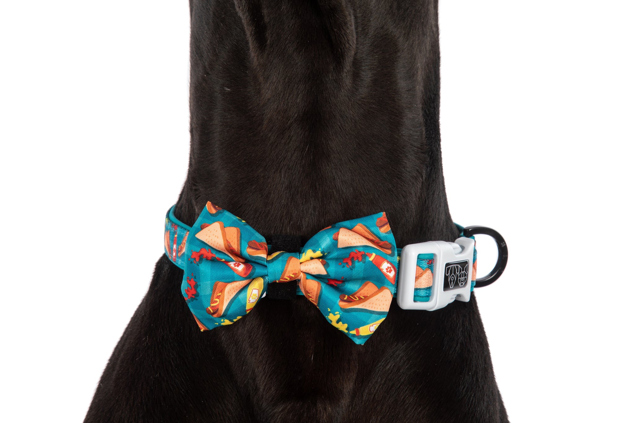 DOG COLLAR & BOW TIE: Sausage Sizzle {FINAL SALE}