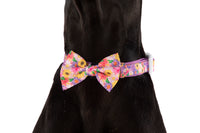 DOG COLLAR (+ BOW TIE option): Spring Fling