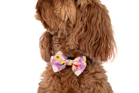 DOG COLLAR (+ BOW TIE option): Spring Fling