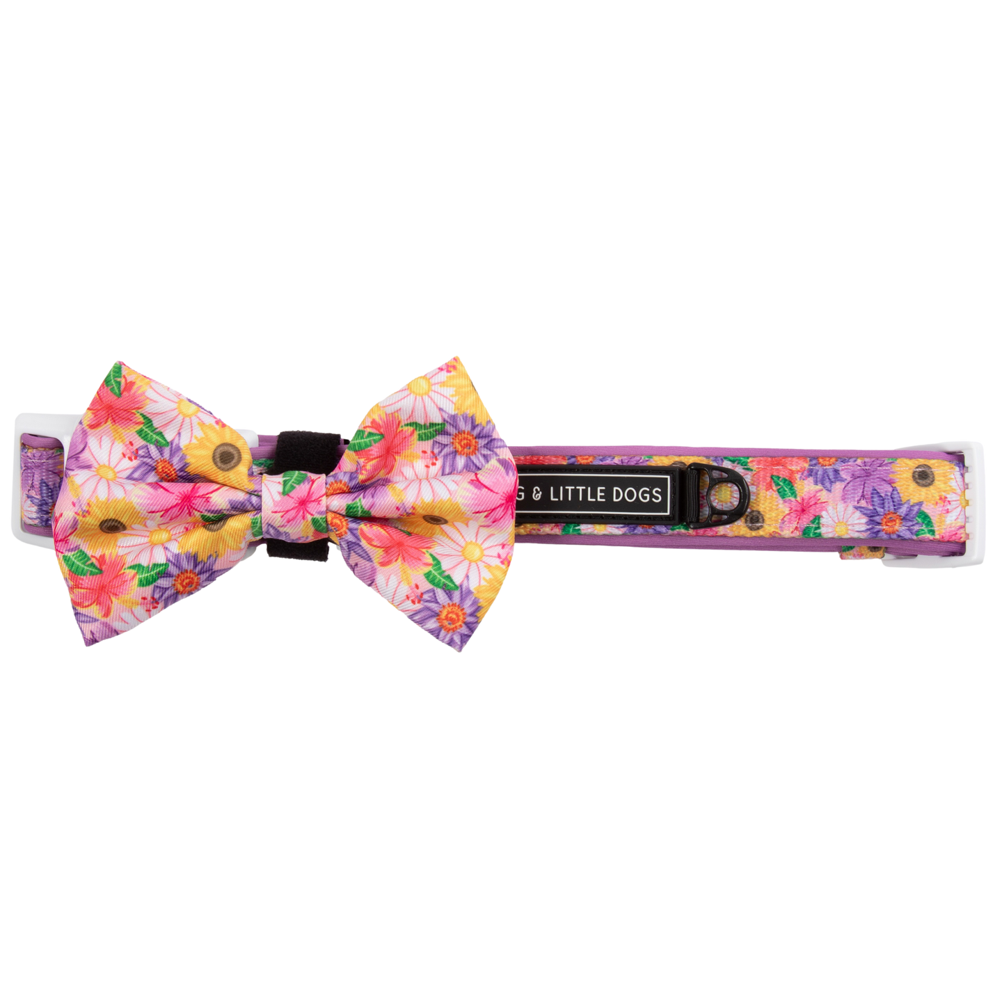 DOG COLLAR (+ BOW TIE option): Spring Fling