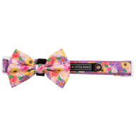 DOG COLLAR (+ BOW TIE option): Spring Fling