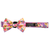 DOG COLLAR (+ BOW TIE option): Spring Fling