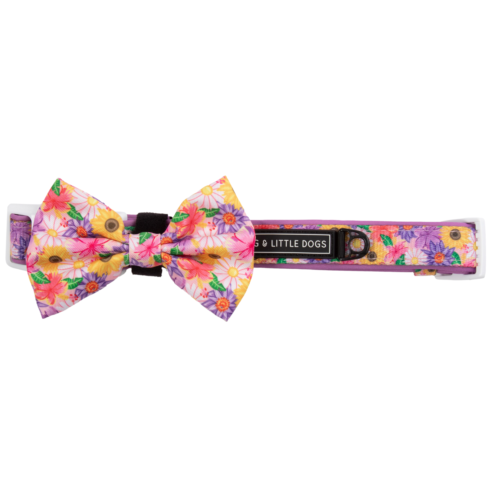 DOG COLLAR (+ BOW TIE option): Spring Fling