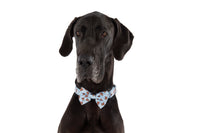 DOG COLLAR (+ BOW TIE option): Cuddle Club
