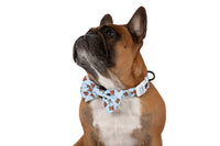 DOG COLLAR (+ BOW TIE option): Cuddle Club