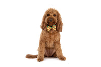 DOG COLLAR & BOW TIE: Winter Blooms {FINAL SALE}