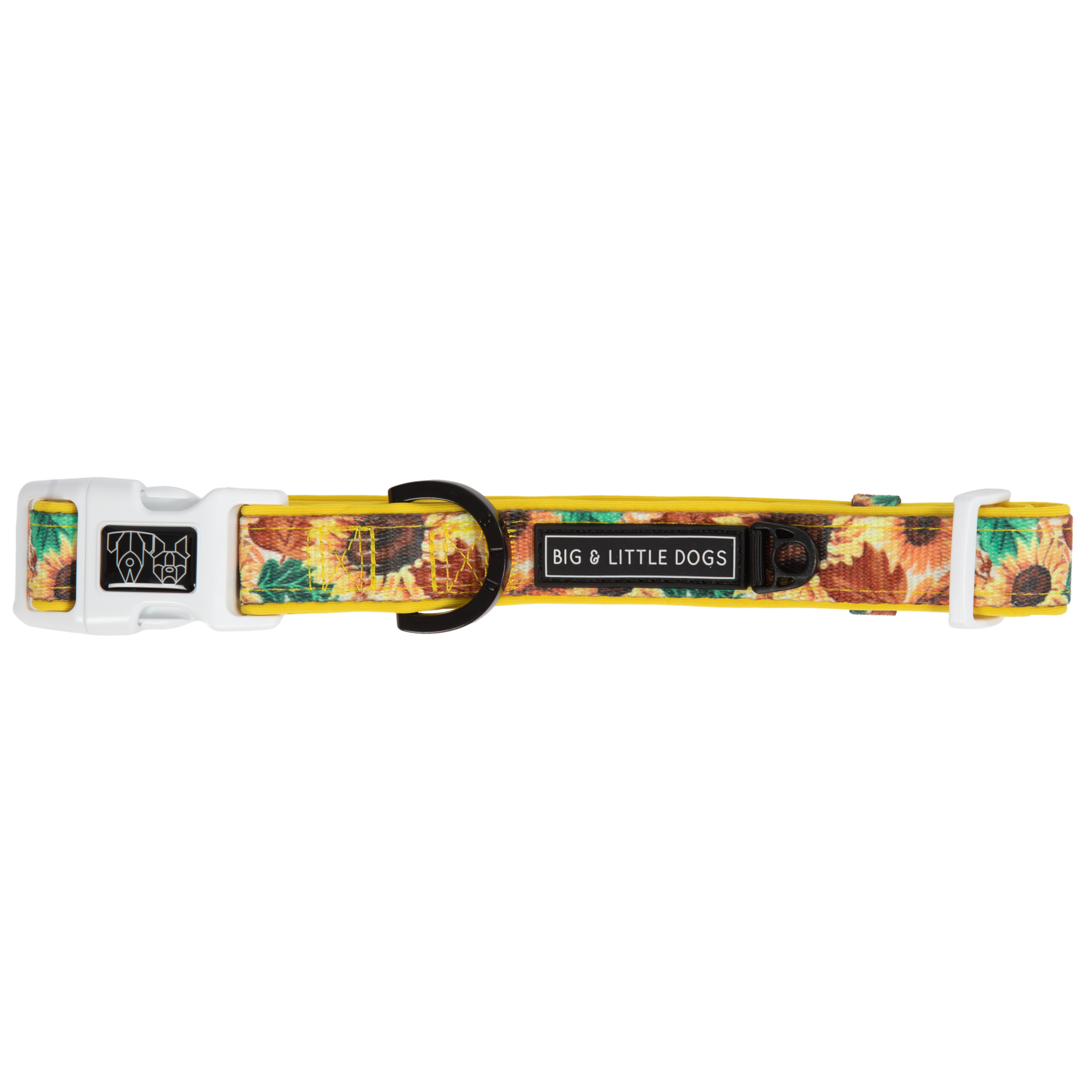 DOG COLLAR & BOW TIE: Winter Blooms {FINAL SALE}
