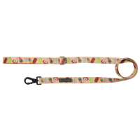 DOG LEASH: Aussie Faves {FINAL SALE}