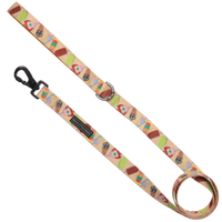 DOG LEASH: Aussie Faves {FINAL SALE}