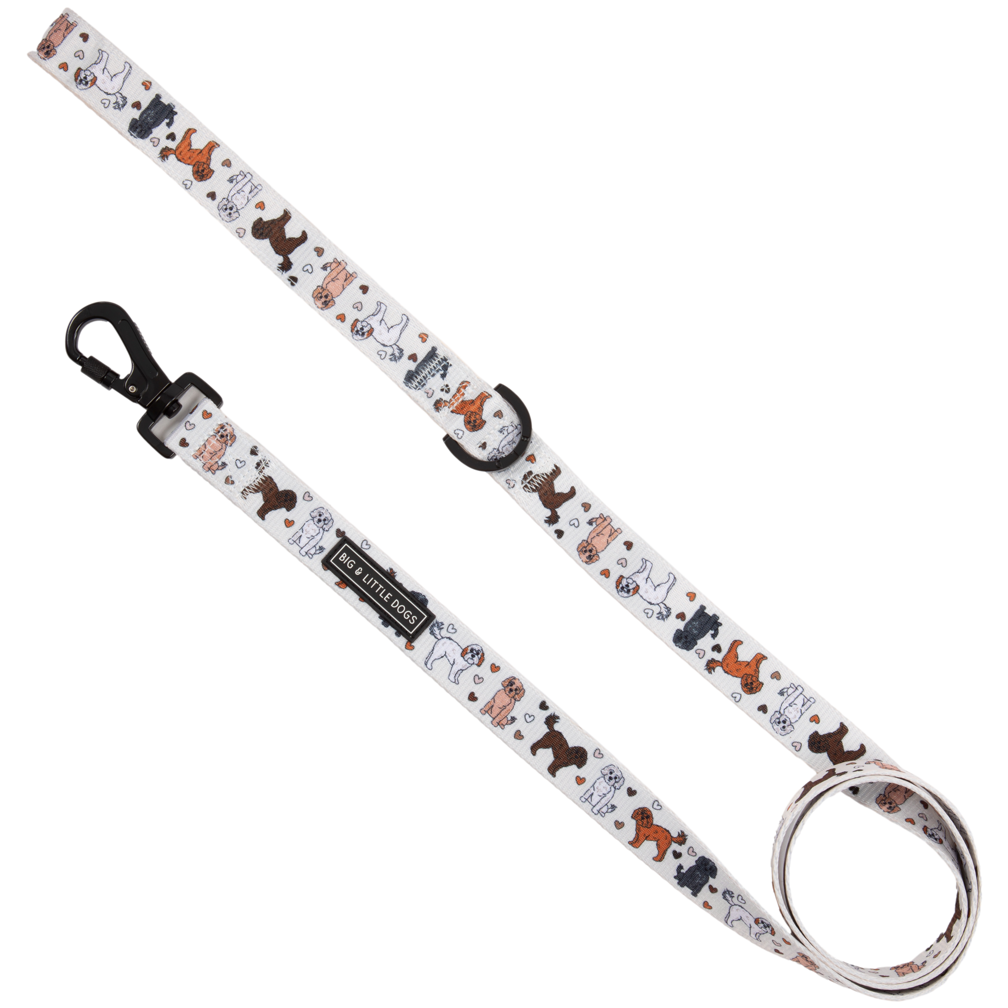 DOG LEASH: Oodles of Love